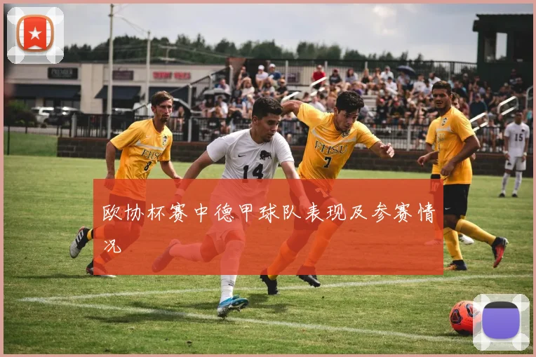 欧协杯赛中德甲球队表现及参赛情况