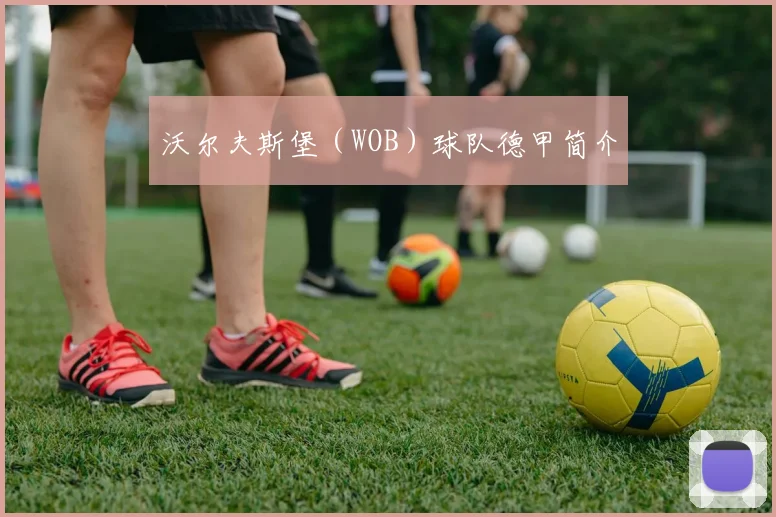 沃尔夫斯堡(WOB)球队德甲简介