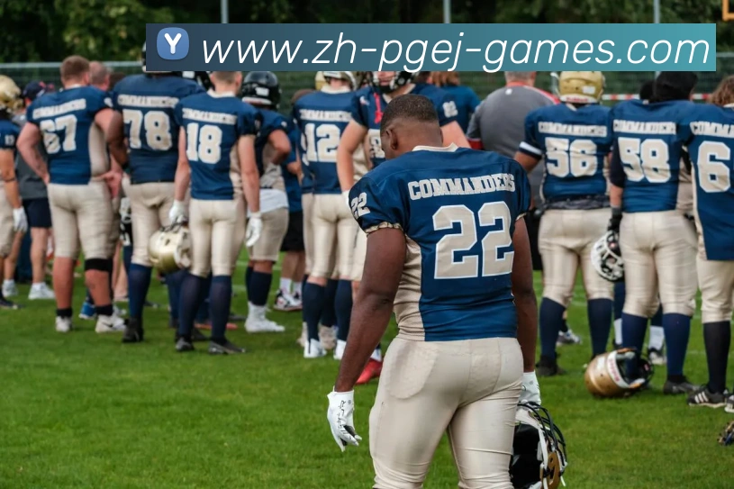 PG电子官方网站平台生态图